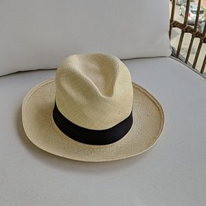 Aritzia Panama Straw Hat